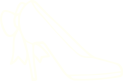 Icono zapato